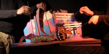 Los cuentos que se comió el sapo\u002E