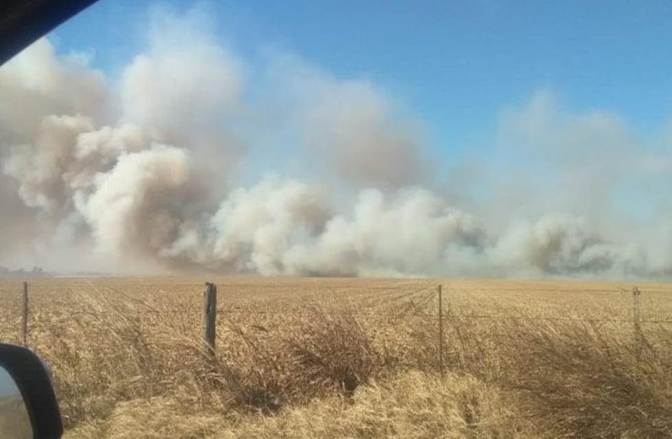 Investigan el incendio del campo del presidente de la Sociedad Rural de Río Cuarto