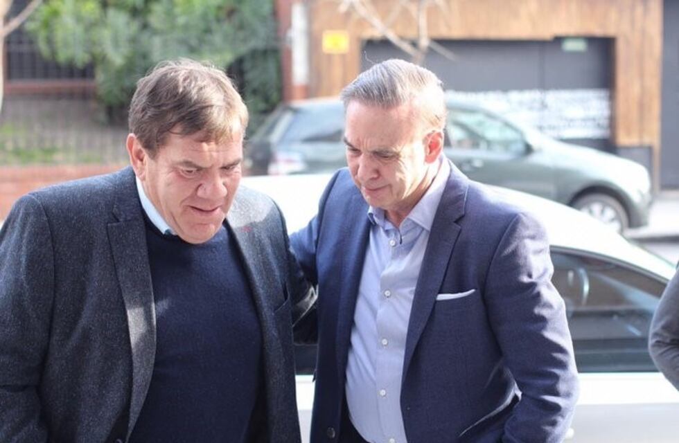 Miguel Ángel Pichetto remarcó que "el mercado está abierto, no hay cepo"