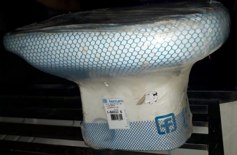 Detuvieron a un niño de 12 años por robar un inodoro