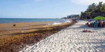 El sargazo amenaza con instalarse en las playas mexicanas\u002E