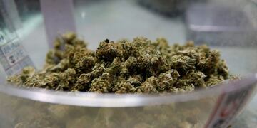 Marihuana\u002E (AP)