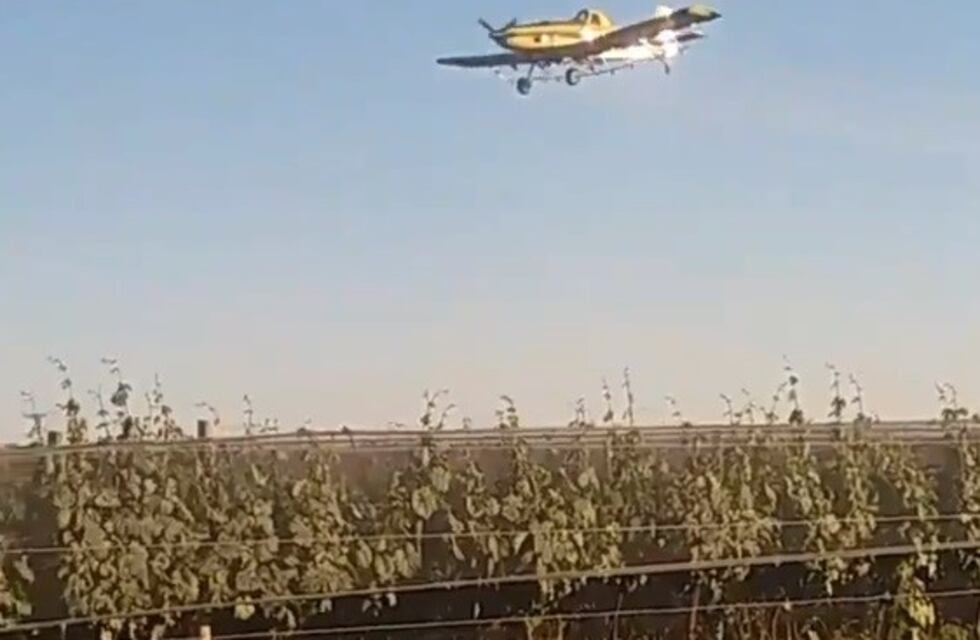 Fumigación y polémica: San Carlos denunció penalmente al Iscamen