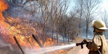 Alertan alta probabilidad de incendios forestales