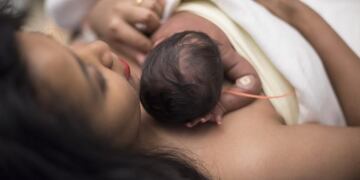 Recién nacido (web)\u002E