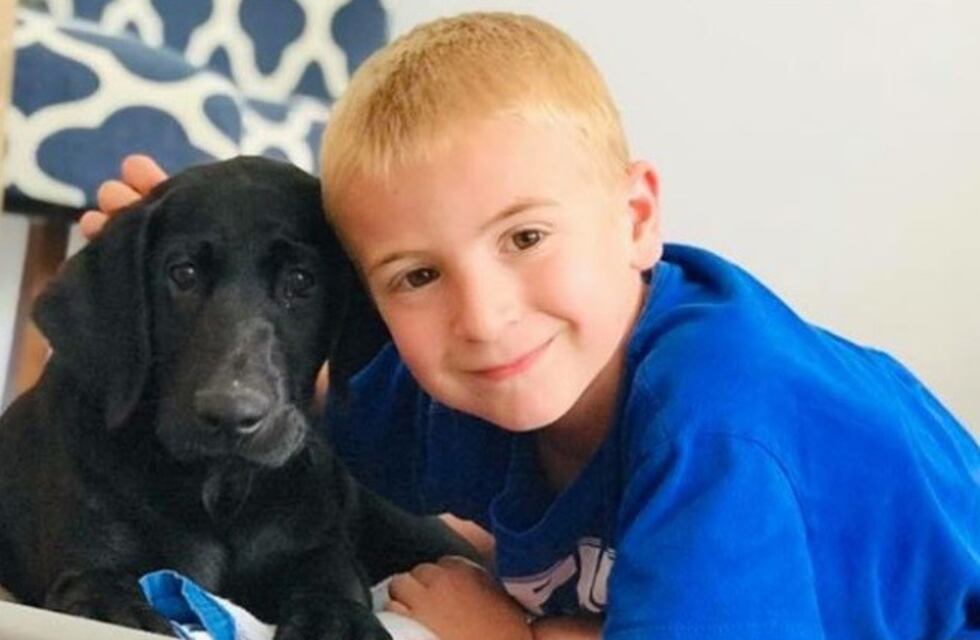 El nene de siete años que ya salvó a 1200 perros que iban a ser sacrificados