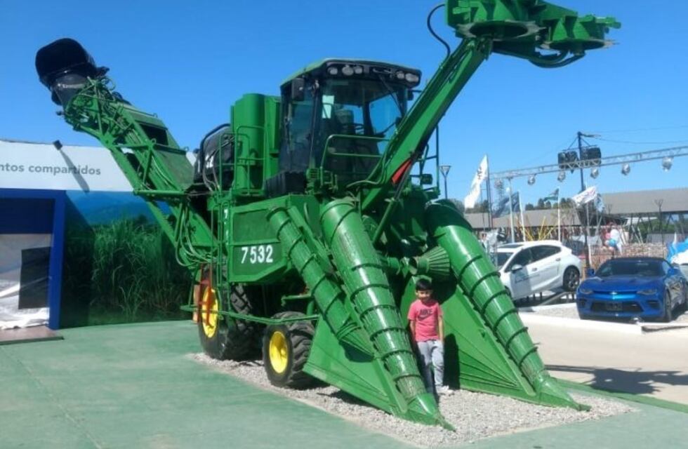 En lo productivo, "ha sido un año muy bueno" para Ledesma