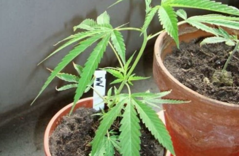 Operativo narcomenudeo: dos hombres detenidos