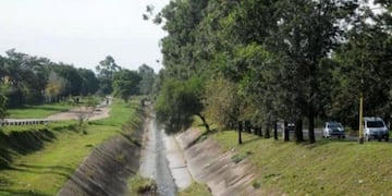 Mayores controles por el desecho de excedentes citrícolas\u002E (Web)