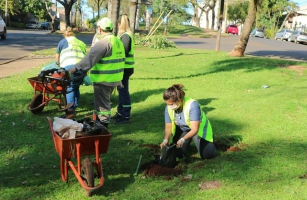 Plantaron más árboles nativos en la Avenida Roque Sáenz Peña
