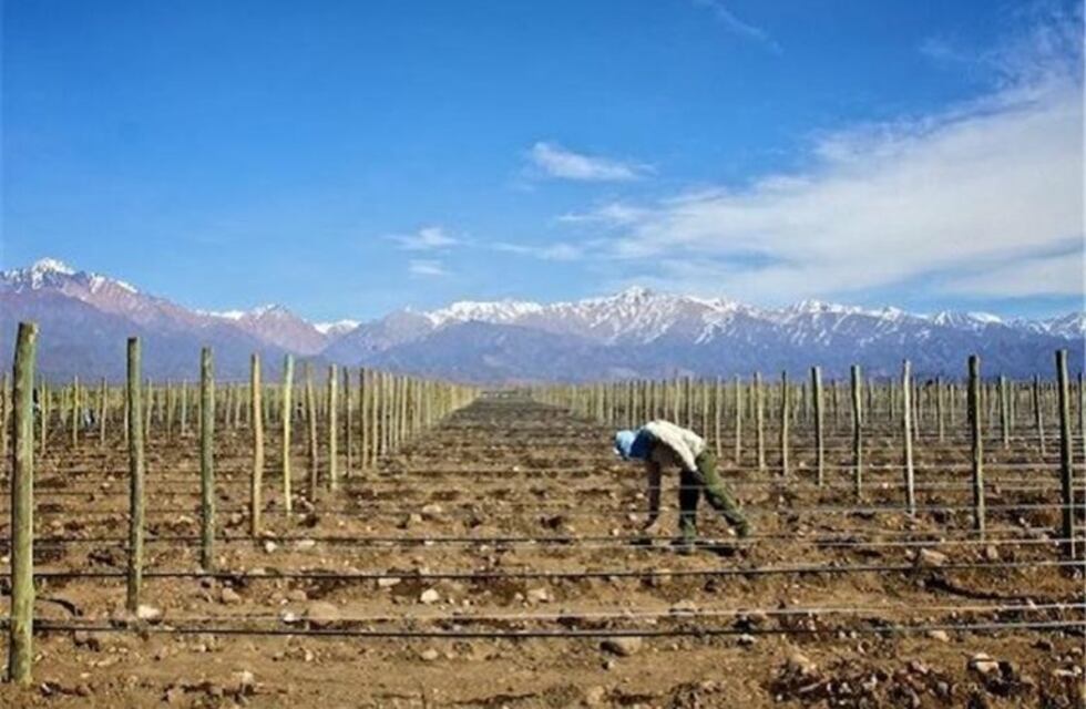 ¡Atención! El Gobierno rematará 55 hectáreas en Luján
