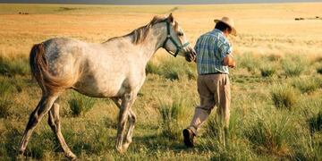 Doma Integral en La Pampa (Facebook)