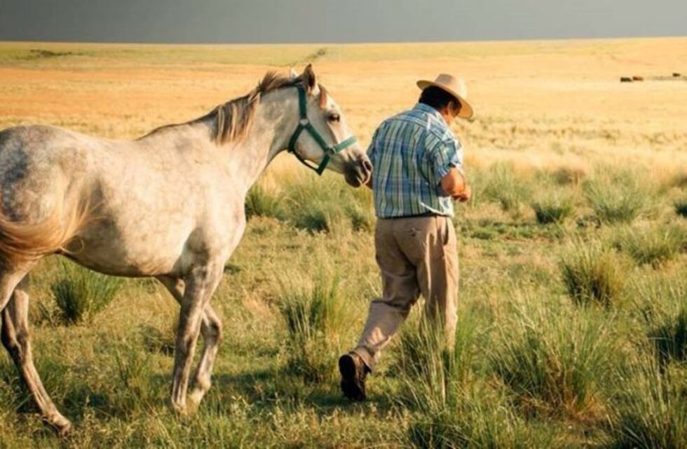 Analizan sumar una experiencia ecuestre a la oferta turística de La Pampa