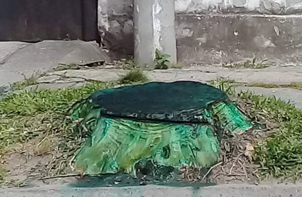 Denuncian uso de agroquímicos en Gualeguaychú