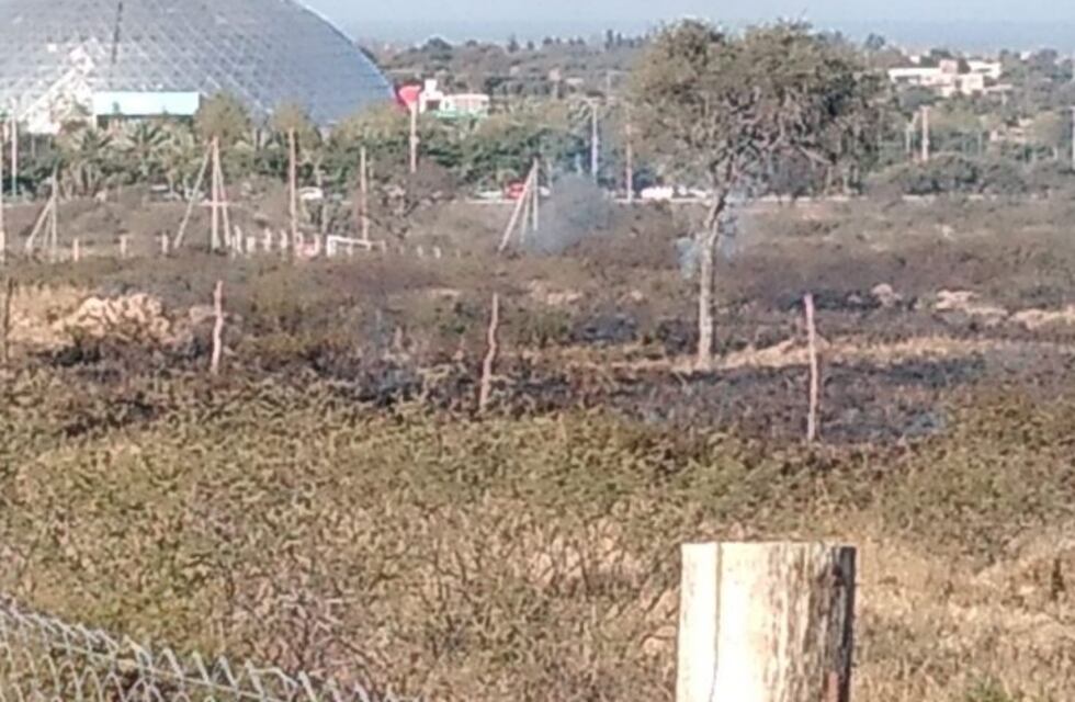 Sofocan incendio cerca del Parque de la Ciudad