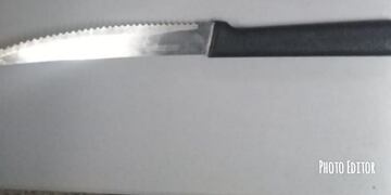 Elementos del hecho delictivo\u002E Alta Gracia