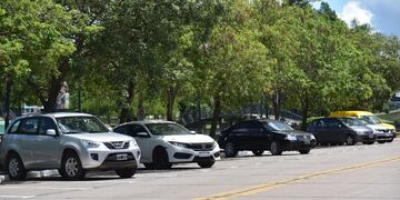 El insólito hecho ocurrió en las primeras horas del sábado.