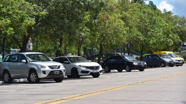 El insólito hecho ocurrió en las primeras horas del sábado.