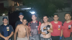 El increíble rescate de un gato en la ciudad de Córdoba.