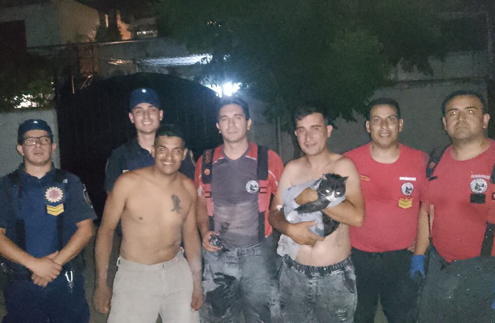 El increíble rescate de un gato en Córdoba: había quedado atrapado entre dos edificios