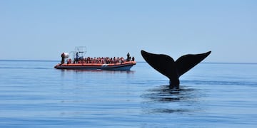La legislatura prorrogó la emergencia del sector.