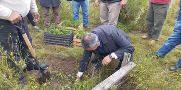 Reforestación en los Valles tucumanos: 200 nuevas plantas de queñua para el ecosistema local.