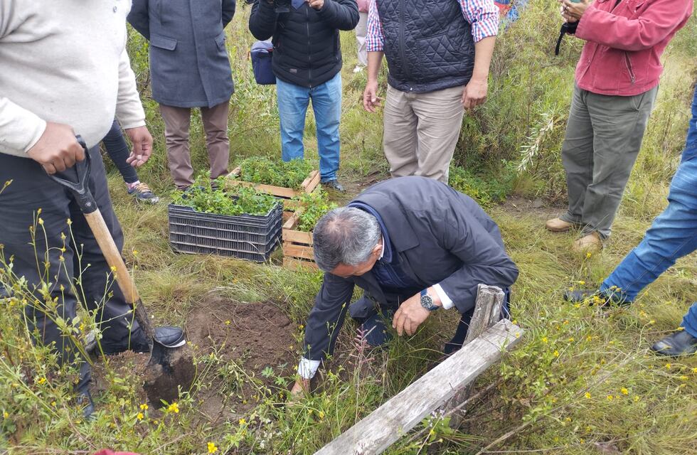 Tucumán apuesta al futuro ecológico de los Valles