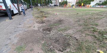 En la ciudad de Córdoba se roban hasta las plantas de los espacios públicos del centro.