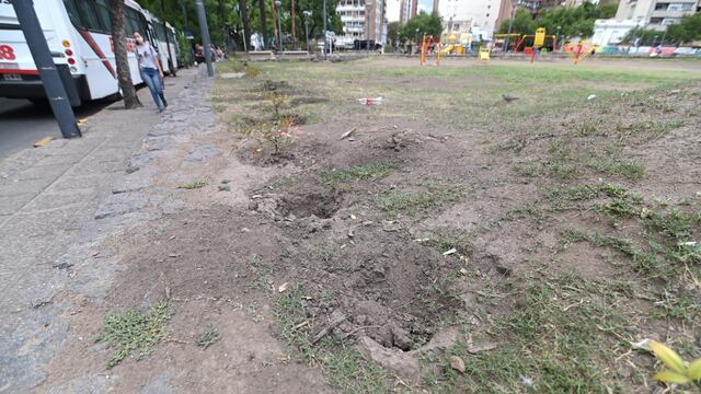 En la ciudad de Córdoba se roban hasta las plantas de los espacios públicos del centro.