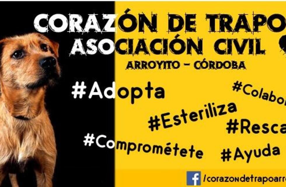 En Arroyito Corazón de Trapo pasará a pagar $2.000 por una castración