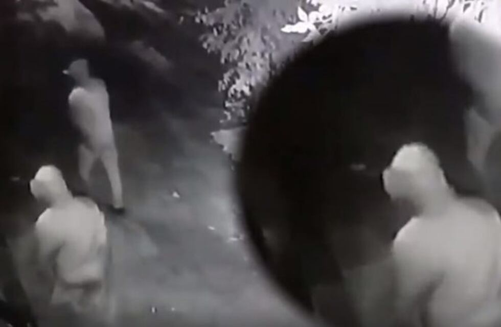 Cuatro ladrones intentaron ingresar a una vivienda en La Plata y quedó todo registrado