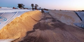 Rotura de silobolsas en Villa María (Foto: Twitter/GabiGiraudo69)