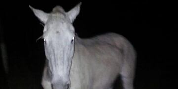 Secretaría de Estado y Comunicación Pública\u002E