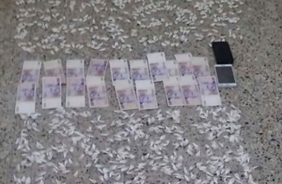 Desbaratan una organización que hacia delivery de drogas en Villa Gesell