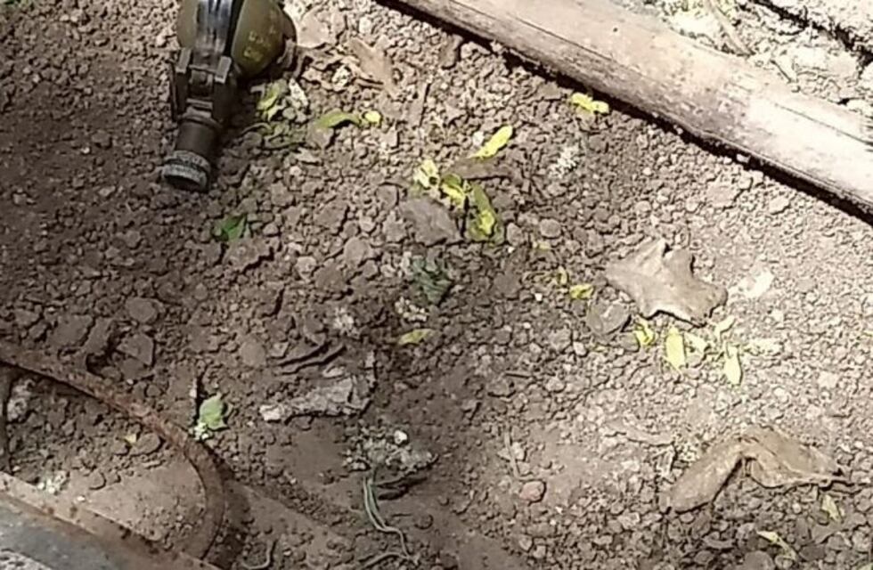 Encuentran una granada y dos plantas de marihuana en una vivienda