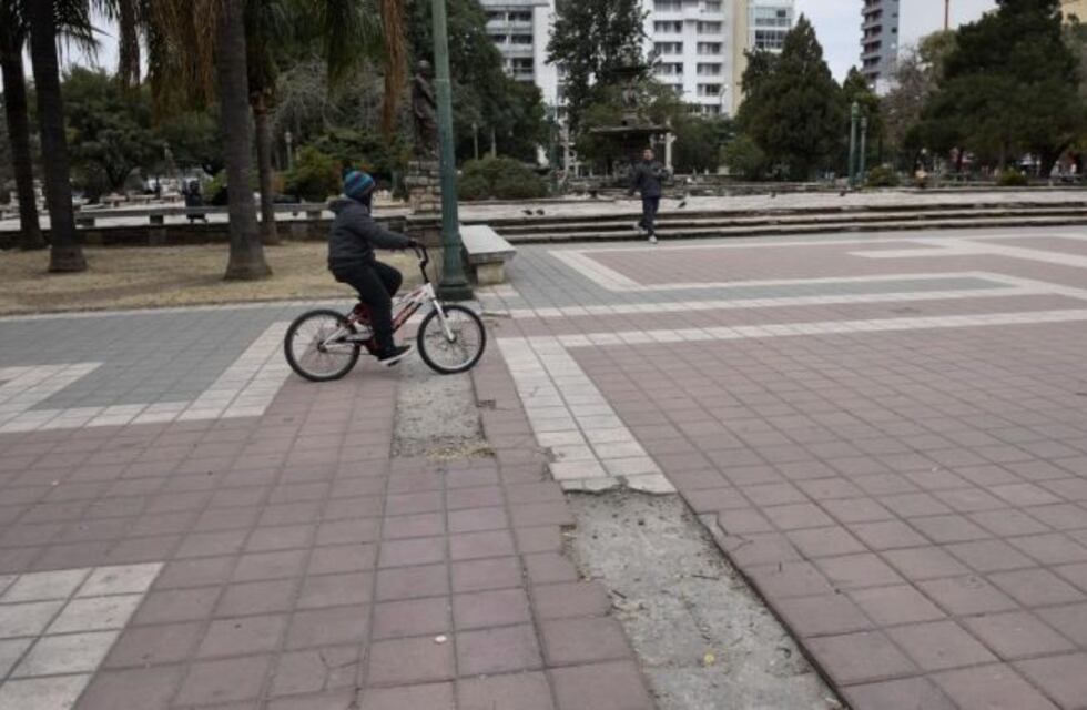 ¡Qué más se van a robar! Llegaron los "robaplantas"