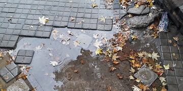 Sábado húmedo y con leve llovizna en Rosario