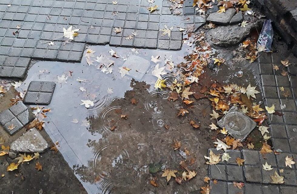 Clima en Rafaela: viento, algunas gotas este viernes y más frío desde el domingo
