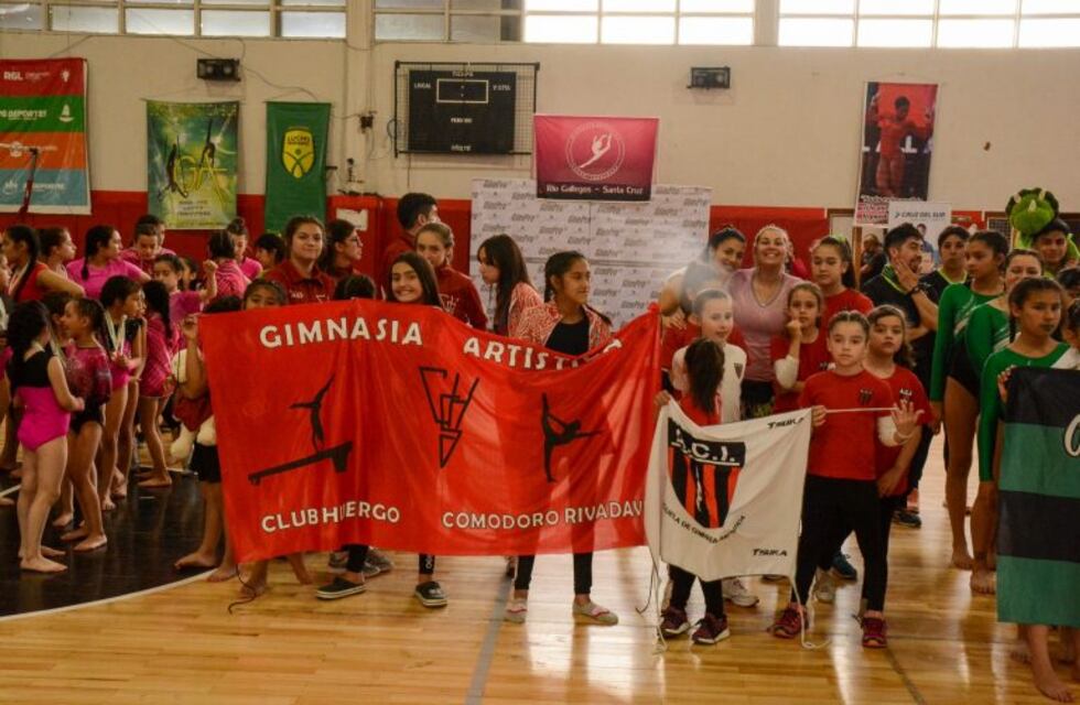 Se realiza V Torneo de Gimnasia Artística