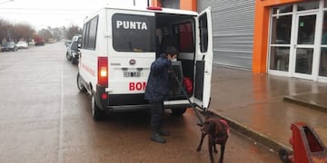 Canes del K9 de Punta Alta participan de la búsqueda de Facundo Astudillo Castro\u002E