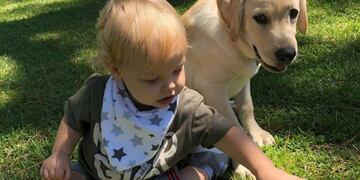 Marley mostró el emotivo reencuentro entre Mirko y su perrito Bailey
