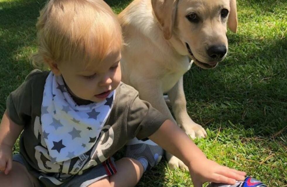 Marley mostró el emotivo reencuentro entre Mirko y su perrito Bailey