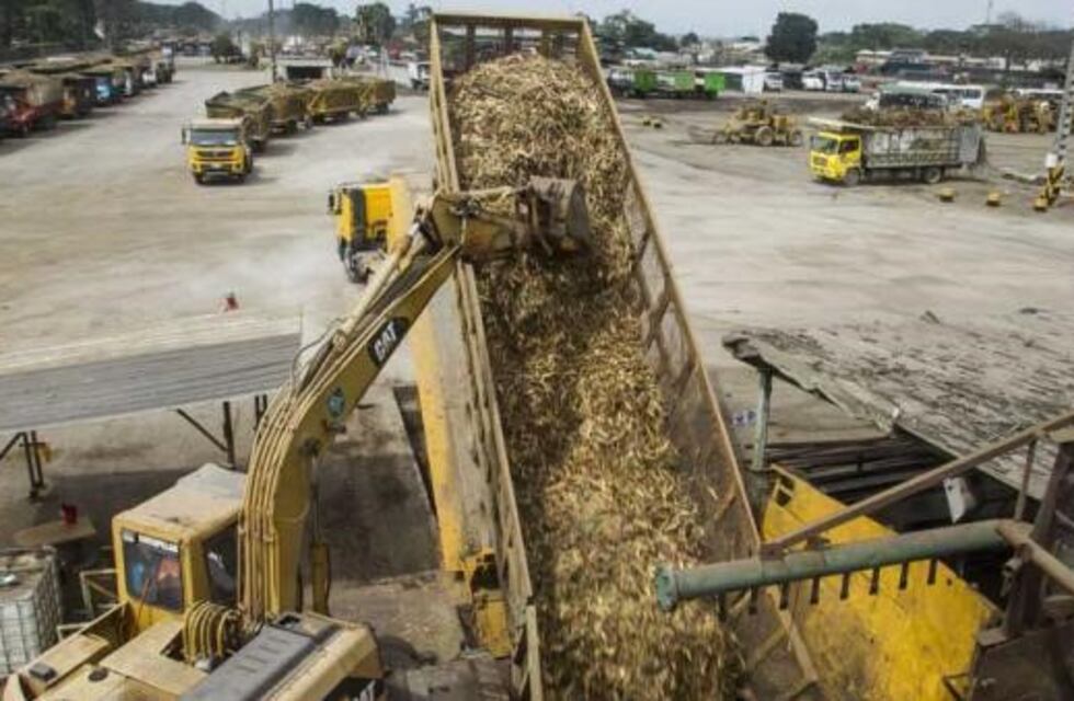 Tucumán será la sede del congreso de la industria azucarera global