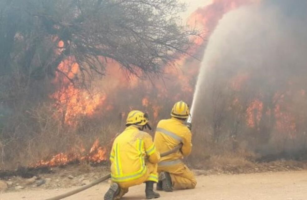 Copina: las llamas están consumiendo el inmenso bosque de pinos