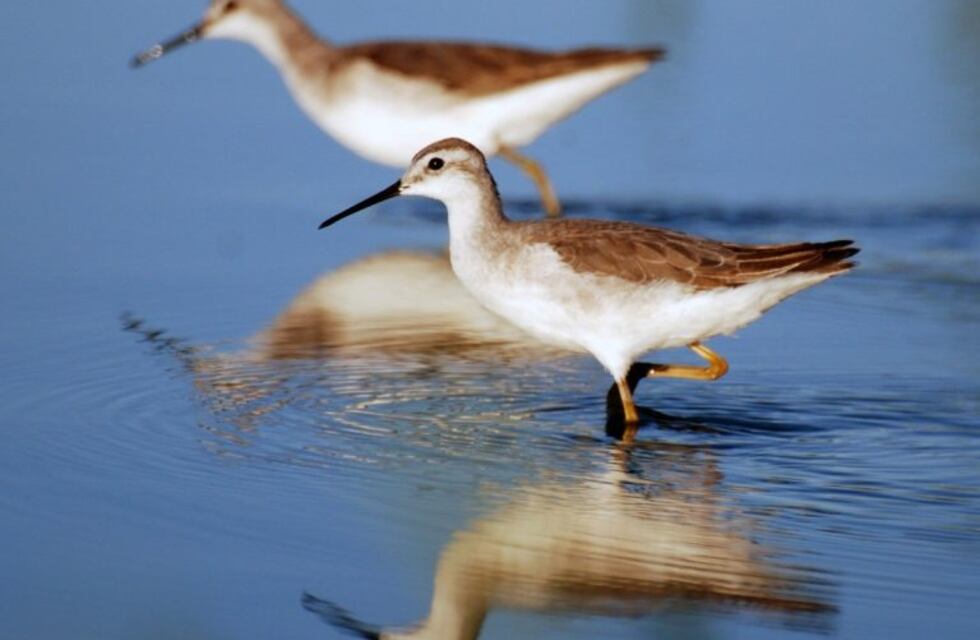 Lunes soleado en Ansenuza
