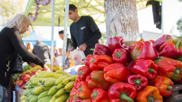 El mercado en tu barrio