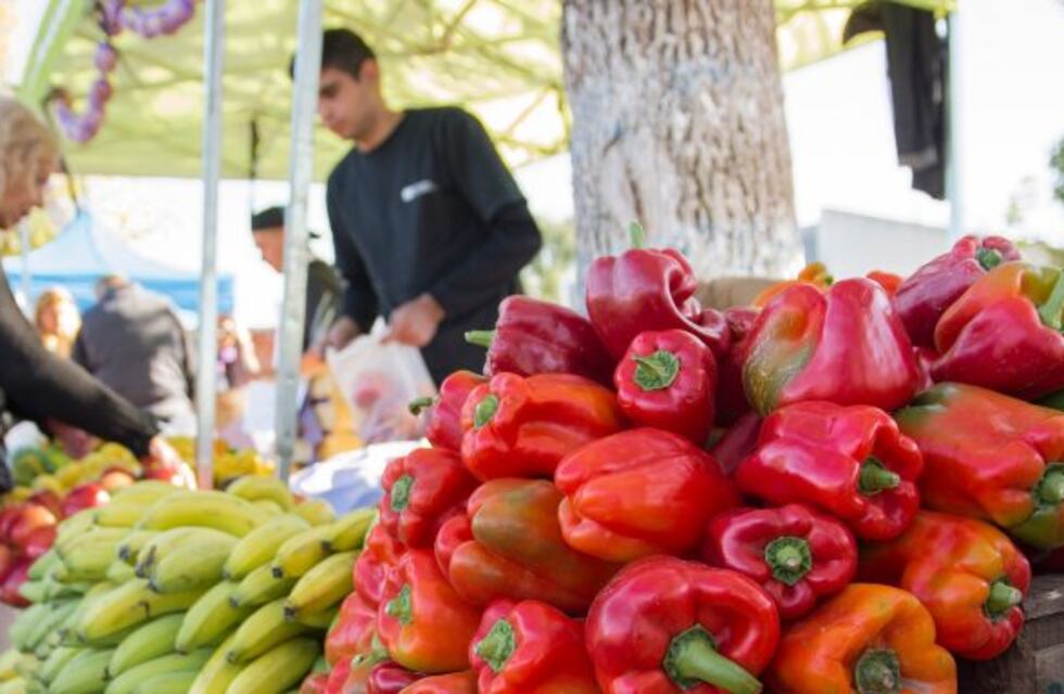 El mercado en tu barrio con nuevo lugar y horario