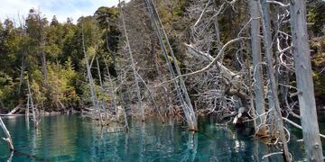 Según un estudio de la UBA, Villa Traful podría sufrir un tsunami