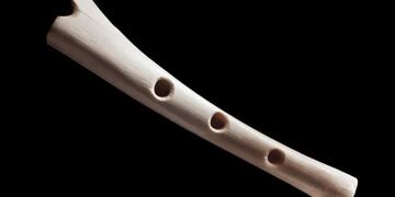 Hallazgo de Flauta Tehuelche en estrecho de Magallanes \u002E Fotos (BioBio)