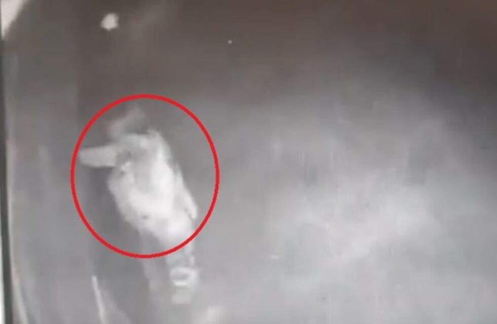 Video: captan a la persona que dañó autos y casas con la palabra "joker" en Jesús María